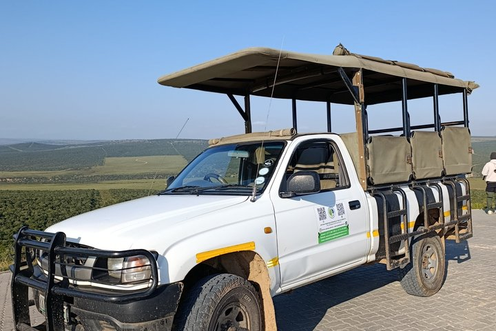 Addo Elephant National Park Full Day Safari - Photo 1 of 11